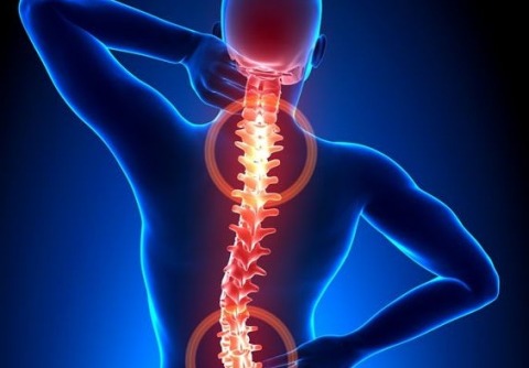 Жизнь без болей в спине